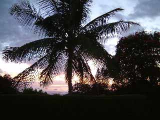 Maui sunsets from our property are beautiful